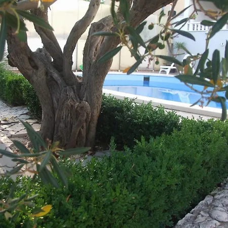 Mandina سيفيد